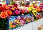 Explore Kmart's Flower-Themed LEGO Sets